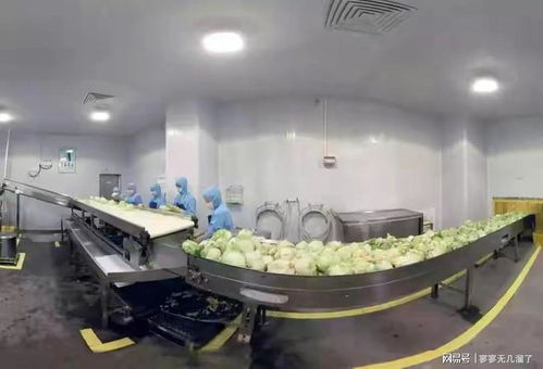 餐饮变革 工厂化预制菜与酒店管理咨询服务的融合未来